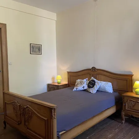 Spacieuse Avec Wi-fi Et Animaux Admis - Fr-1-489-272 *