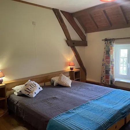 Spacieuse Avec Wi-fi Et Animaux Admis - Fr-1-489-272