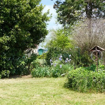 Spacieuse Avec Wi-fi Et Animaux Admis - Fr-1-489-272